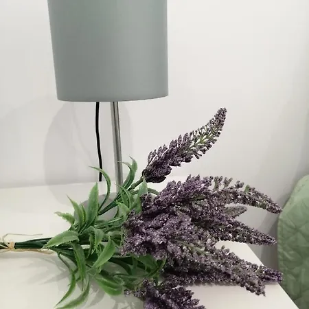 C'an Picafort Near The Sea Can Picafort