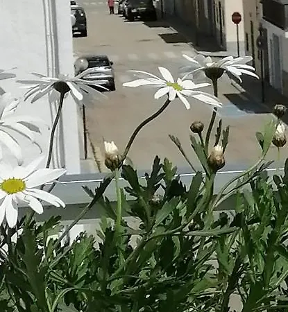 C'an Picafort Near The Sea Apartman