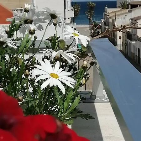 C'an Picafort Near The Sea Can Picafort