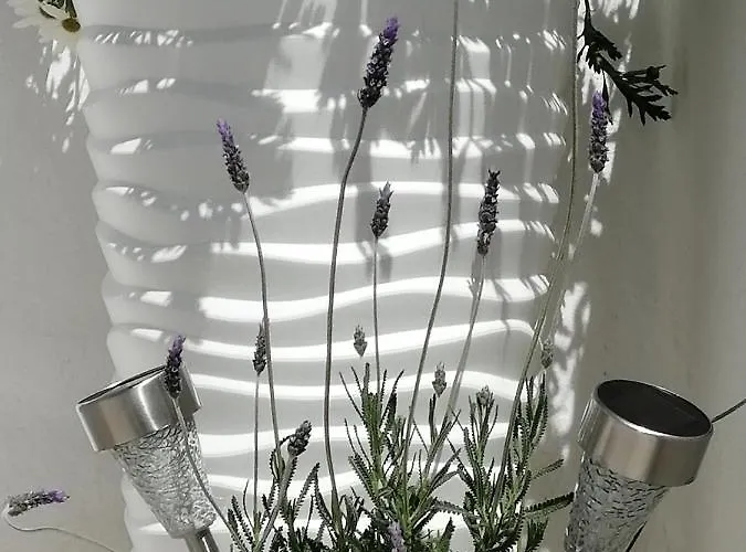 C'an Picafort Near The Sea קאן פיקפורט