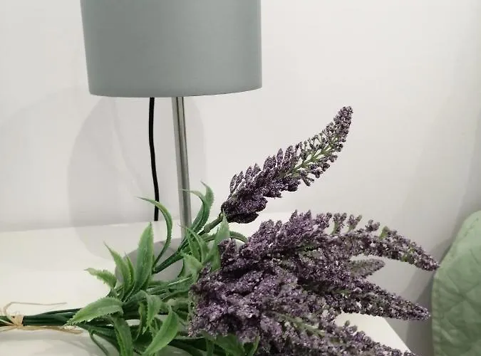 C'an Picafort Near The Sea קאן פיקפורט