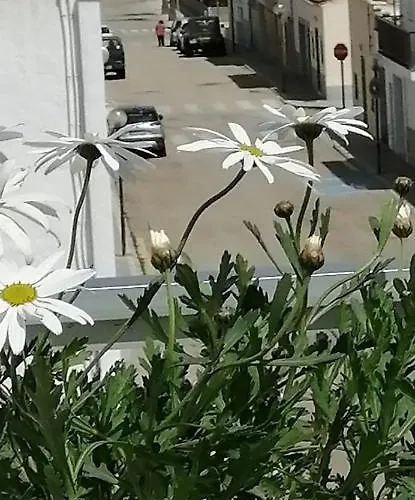 C'an Picafort Near The Sea דירה