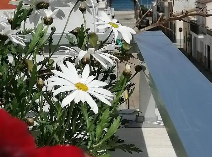 C'an Picafort Near The Sea קאן פיקפורט