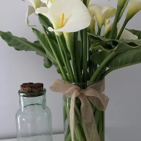 C'an Picafort Near The Sea Apartament Can Picafort (Mallorca)