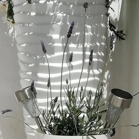 C'an Picafort Near The Sea Can Picafort (Mallorca)