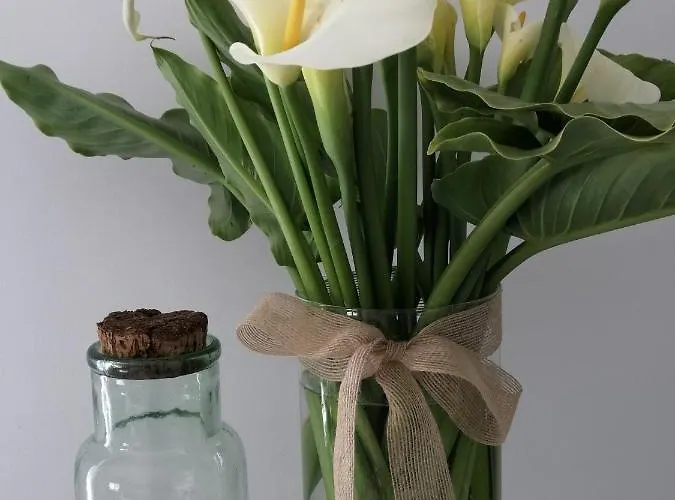 C'an Picafort Near The Sea Apartmán Can Picafort (Mallorca)